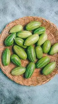 Pointed Gourd