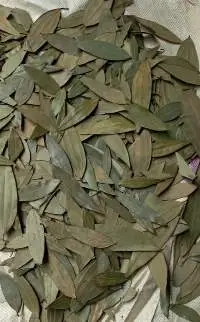 Bay Leaves