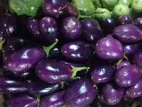Eggplant / Brinjal
