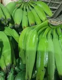 Ripe Banana