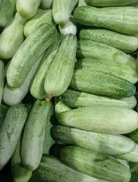 Cucumber