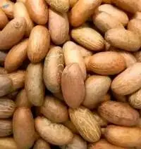 Bitter Kola
