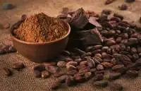 Cocoa Powder