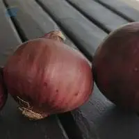 Red Onion