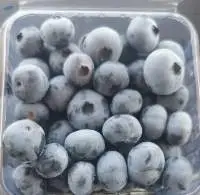 Blueberry