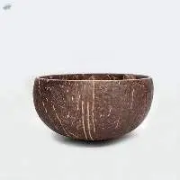 Regular Coconut Bowl