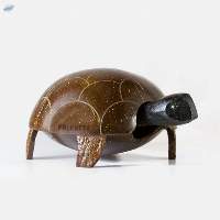 Tortoise Large