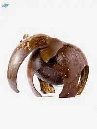 Sri Lankan Elephant