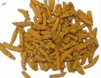 Alleppey Turmeric Finger