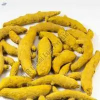 Erode Turmeric Finger
