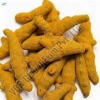 Lakadong Turmeric Finger