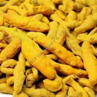 Salem Turmeric Finger