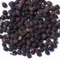 Black Pepper Seeds