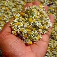 Dried Chamomile Flowers