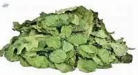 Dehydrated Moringa Leaves