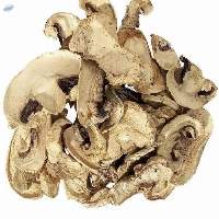 Dehydrated Mushroom