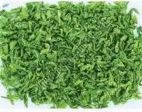 Dehydrated Green Capsicum Flakes