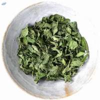 Dehydrated Mint Leaves