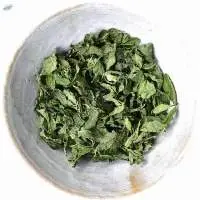 Dehydrated Mint Leaves