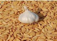Dehydrated Garlic Flakes