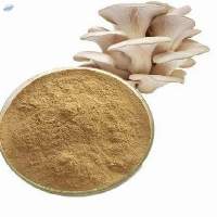 Dehydrated Mushroom Powder