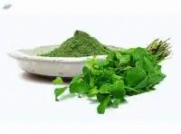 Dehydrated Mint Powder