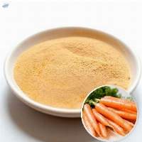Dehydrated Carrot Powder