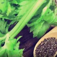 Celery Seed