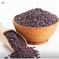 Mustard Seed