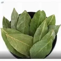 Bay Leaves