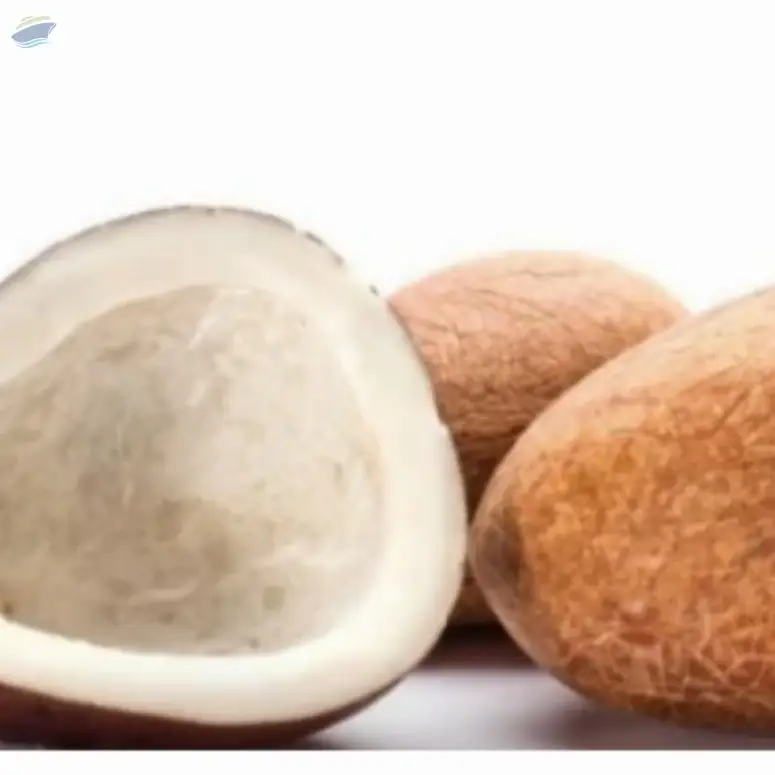 Dried Coconut