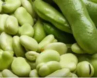 Field Beans