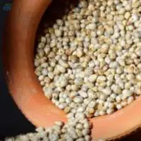 Millet