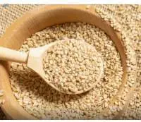 Sesame Seed