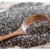 Chia Seed