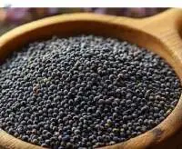 Poppy Seed