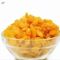 Golden Raisins