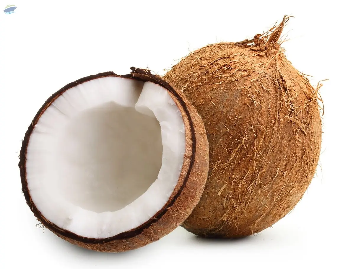 Semi husked Coconut
