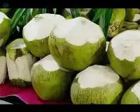 Tender Coconut (Top Cut and Diamond Cut)