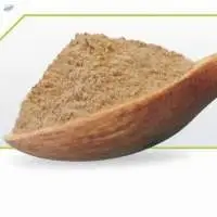 Dehydrated Garlic Powder