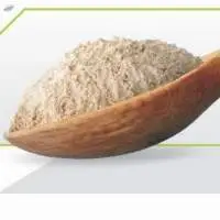 Dehydrated White Onion Powder