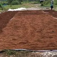 Cocopeat
