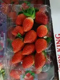 Strawberries