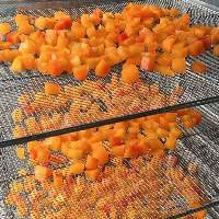 Freeze Dried Fruits and Powders