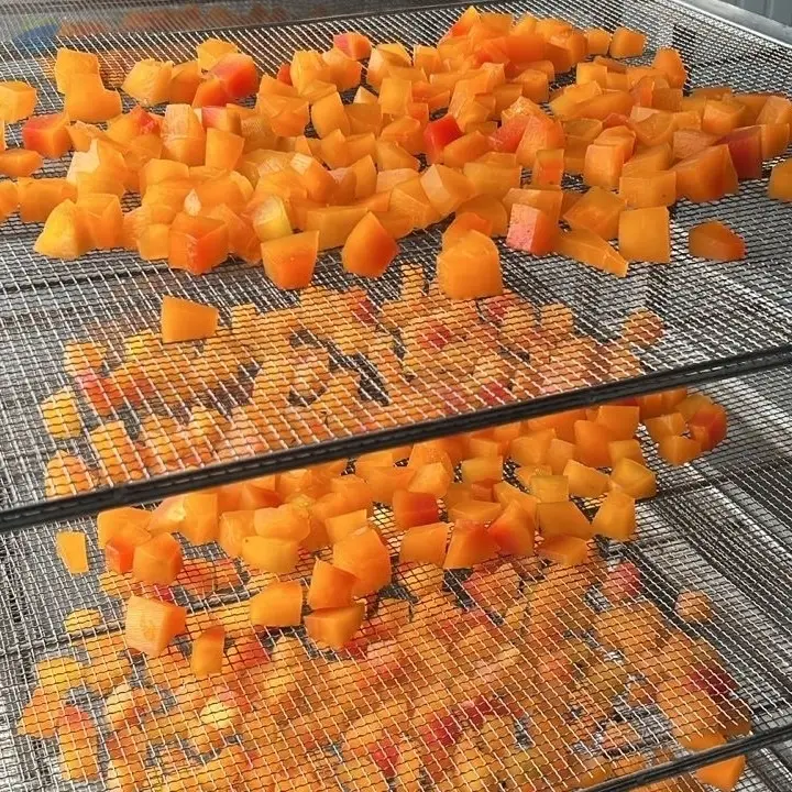 Freeze Dried Fruits and Powders