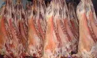 Lamb Assorted
