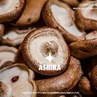 Crispy Mushroom (freeze dried)