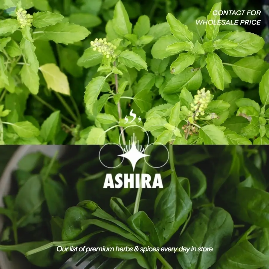 Dried Holy Basil