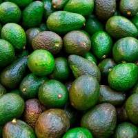 Avocados From Mexico