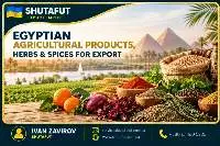 Egyptian Dried Herbs & Spices